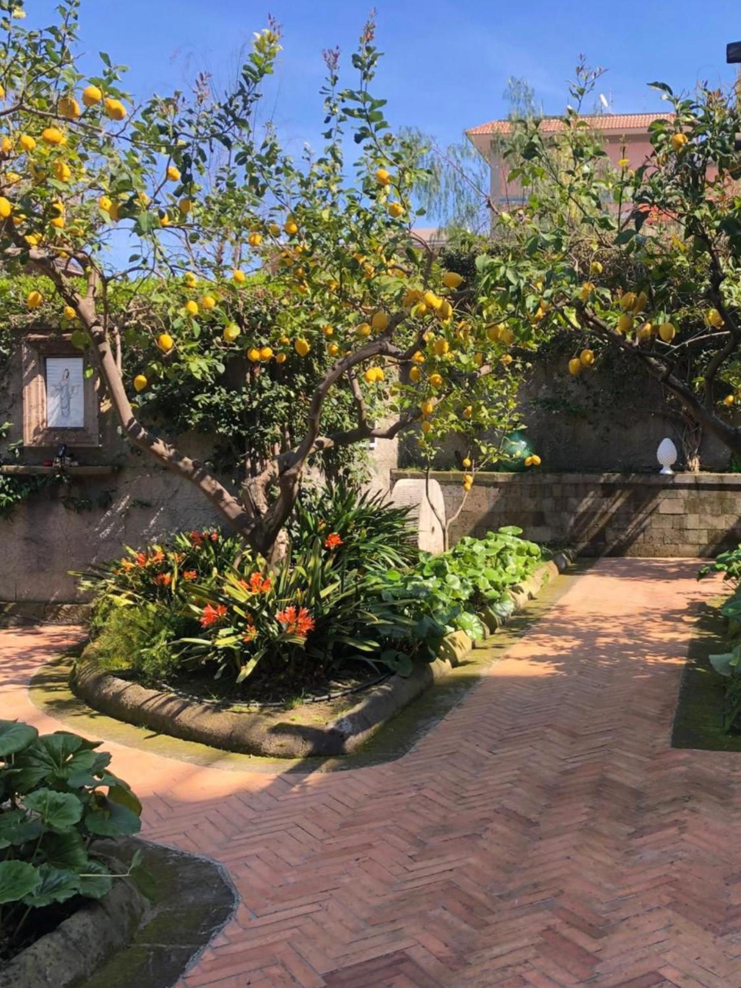 Suite Lidia B&B Sorrento Ngoại thất bức ảnh