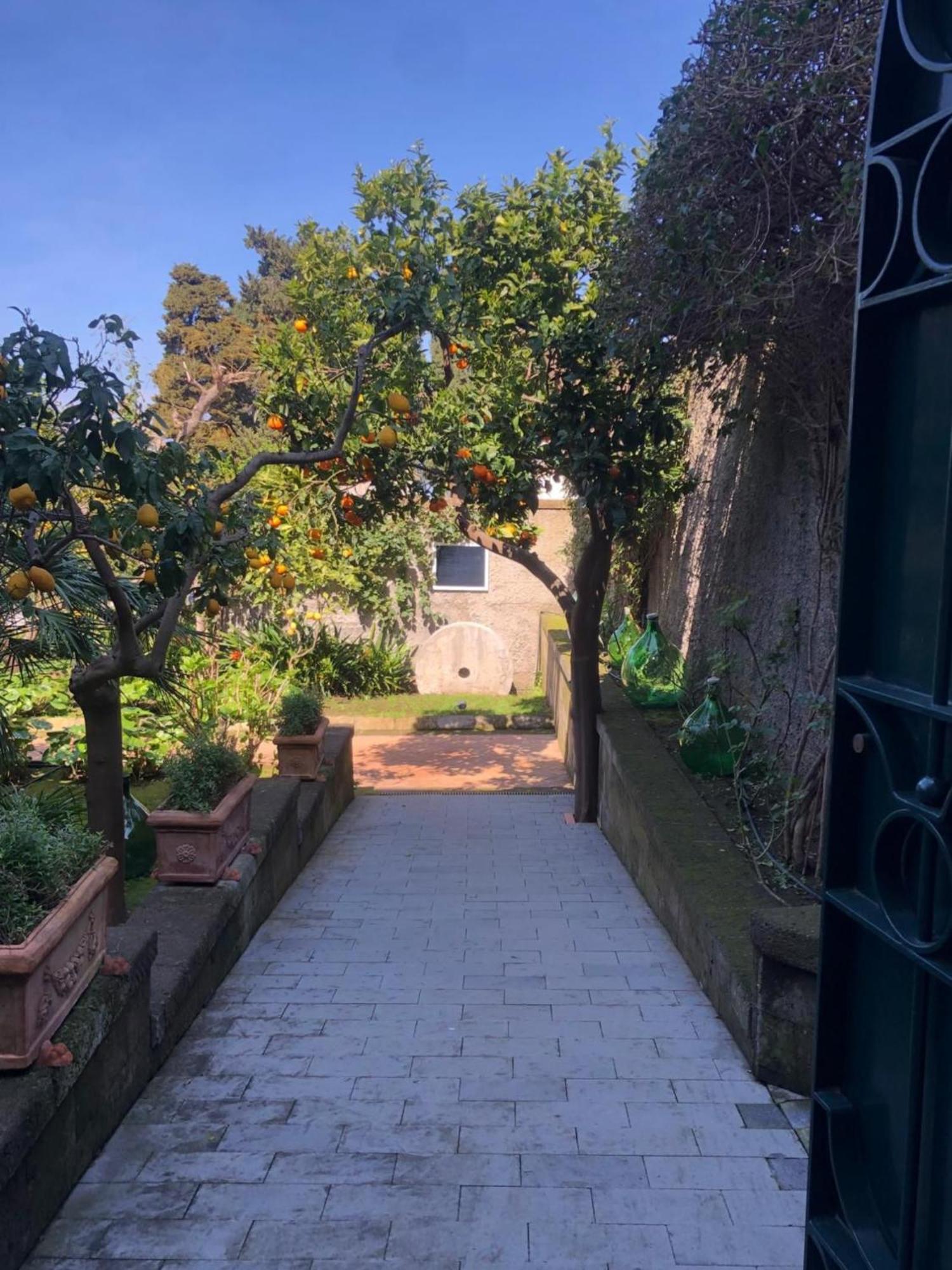 Suite Lidia B&B Sorrento Ngoại thất bức ảnh