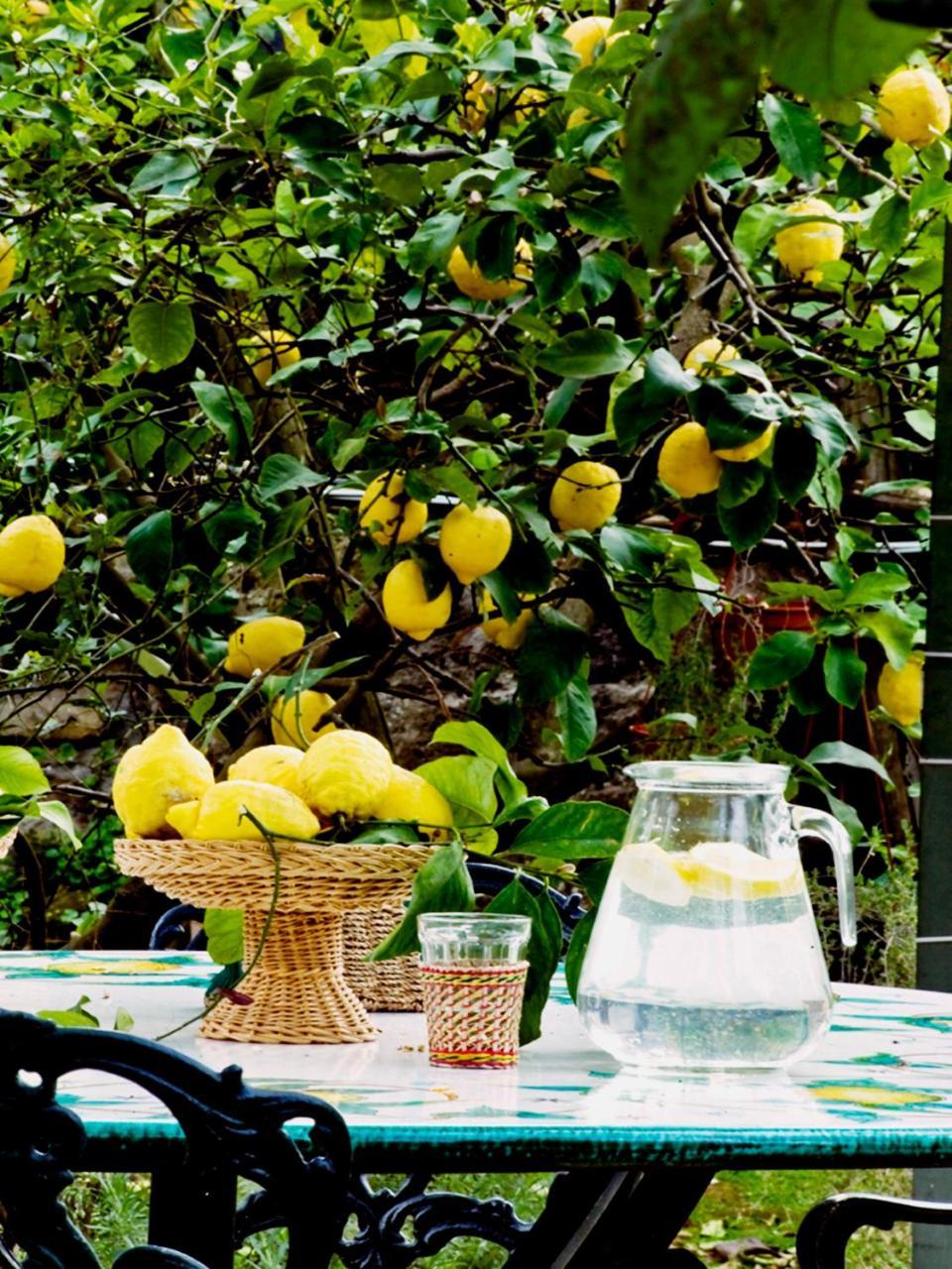 Suite Lidia B&B Sorrento Ngoại thất bức ảnh